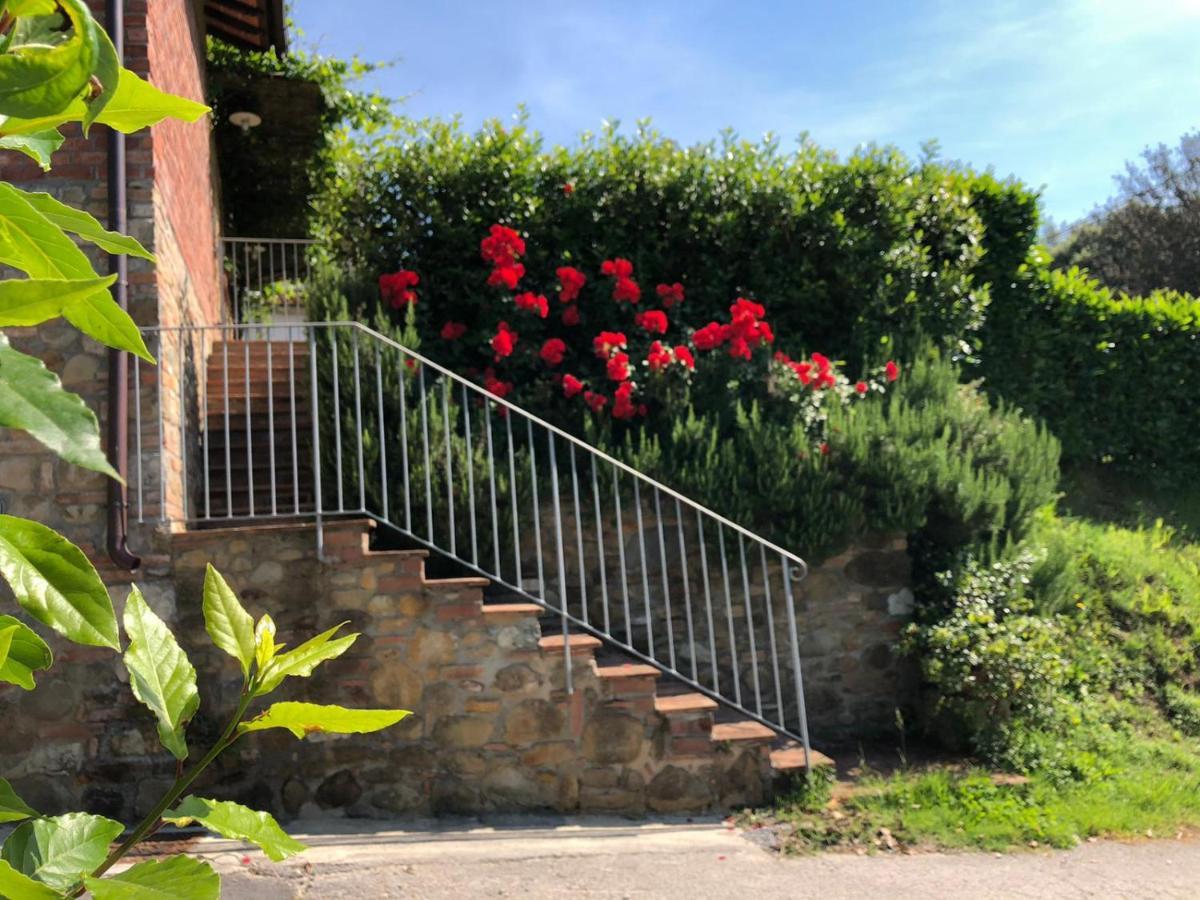 Chille Villa Capannori Buitenkant foto